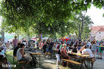 ... ein buntes Miteinander im Volksgartenpark © fotoma ... ein buntes Miteinander im Volksgartenpark