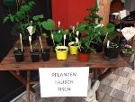 Die Pflanzentauschbörse