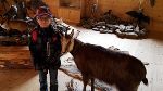 ... auch die Tiere des Waldes wurden erlebbar gemacht © Allgemeine Sonderschule Knittelfeld ... auch die Tiere des Waldes wurden erlebbar gemacht
